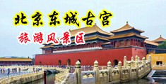 肏死你,骚骚在线影院中国北京-东城古宫旅游风景区